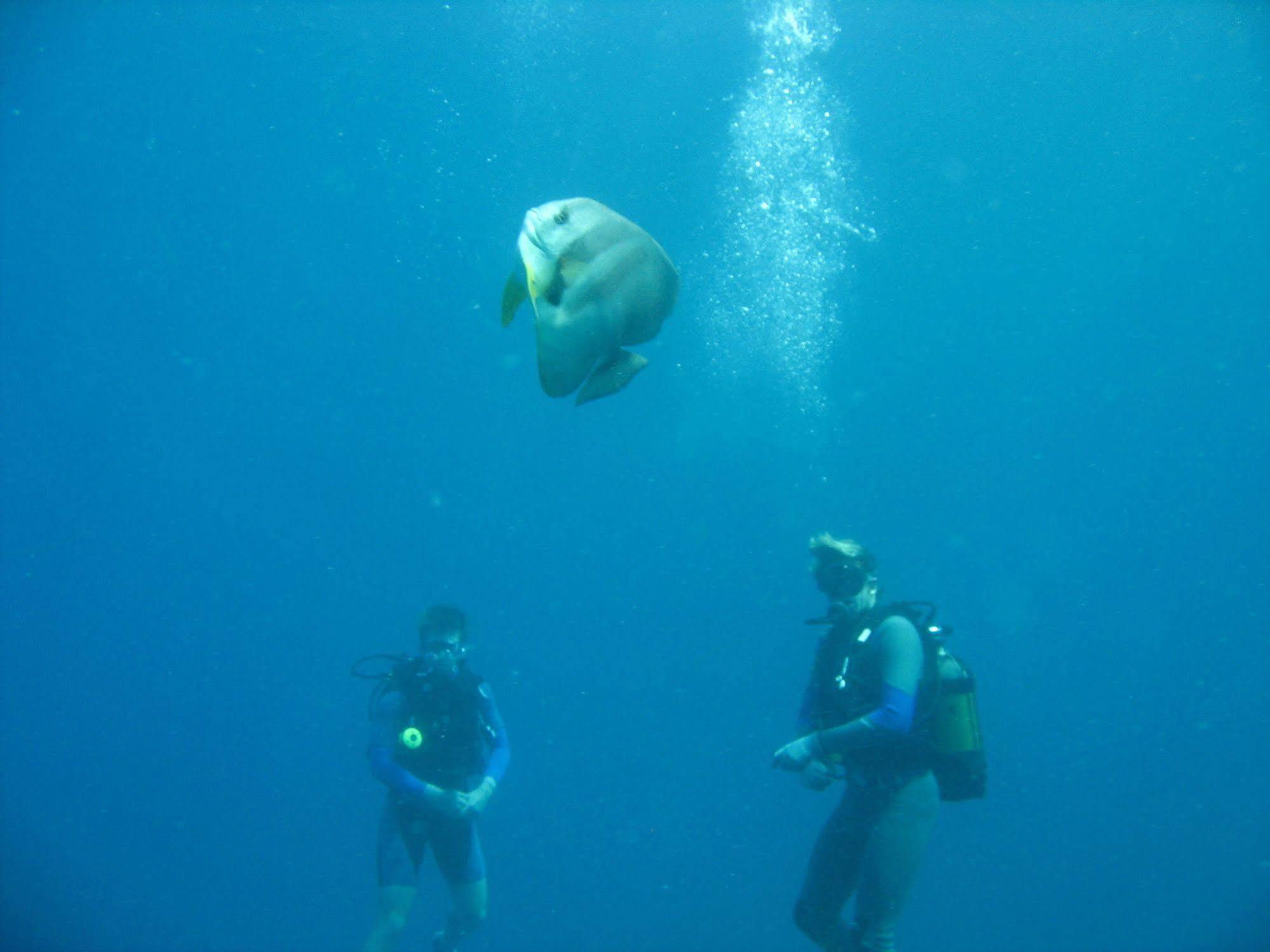Dugong Beach alojamiento Vilankulo Exterior foto